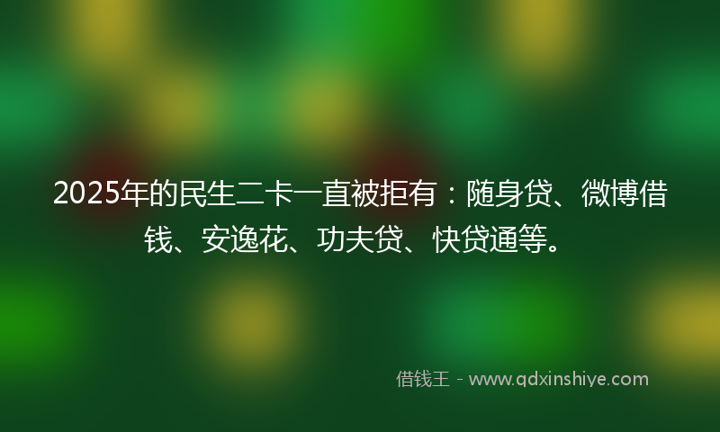 2025年的民生二卡一直被拒有：随身贷、微博借钱、安逸花、功夫贷、快贷通等。