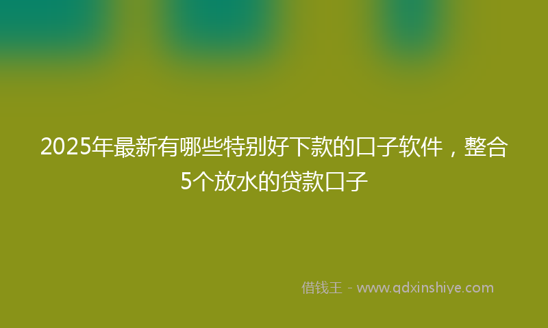 2025年最新有哪些特别好下款的口子软件，整合5个放水的贷款口子