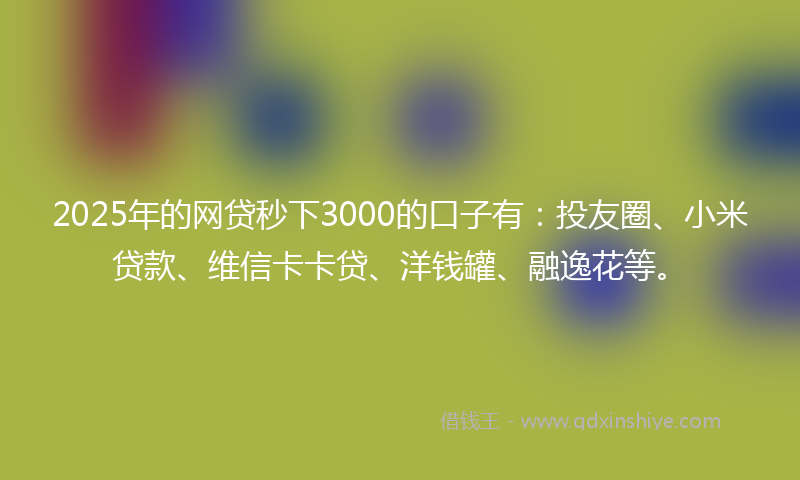 2025年的网贷秒下3000的口子有：投友圈、小米贷款、维信卡卡贷、洋钱罐、融逸花等。