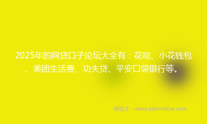 2025年的网贷口子论坛大全有：花呗、小花钱包、美团生活费、功夫贷、平安口袋银行等。