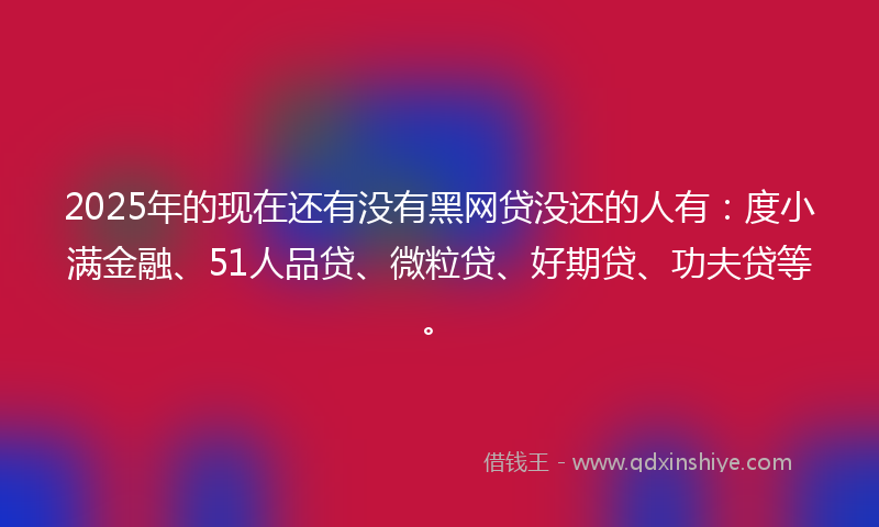 2025年的现在还有没有黑网贷没还的人有：度小满金融、51人品贷、微粒贷、好期贷、功夫贷等。