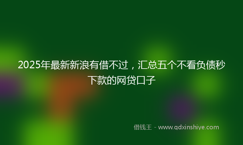 2025年最新新浪有借不过，汇总五个不看负债秒下款的网贷口子