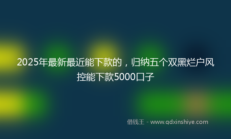 2025年最新最近能下款的，归纳五个双黑烂户风控能下款5000口子