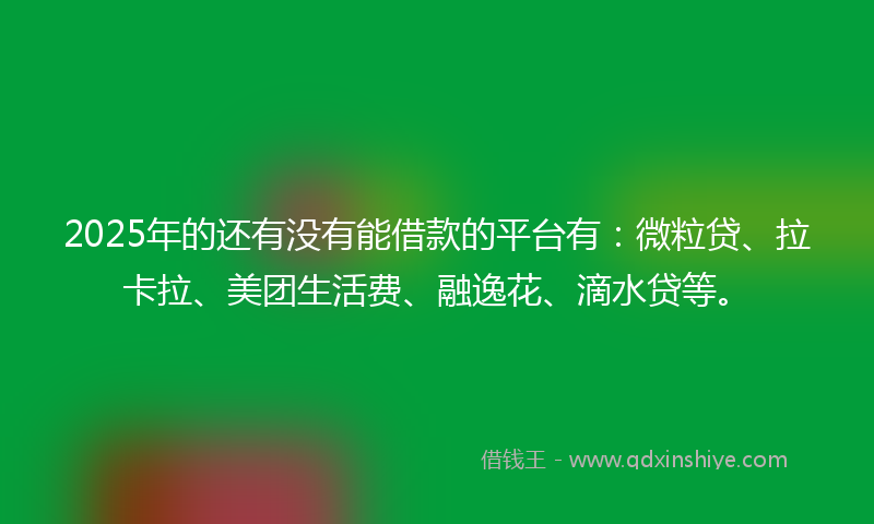 2025年的还有没有能借款的平台有：微粒贷、拉卡拉、美团生活费、融逸花、滴水贷等。
