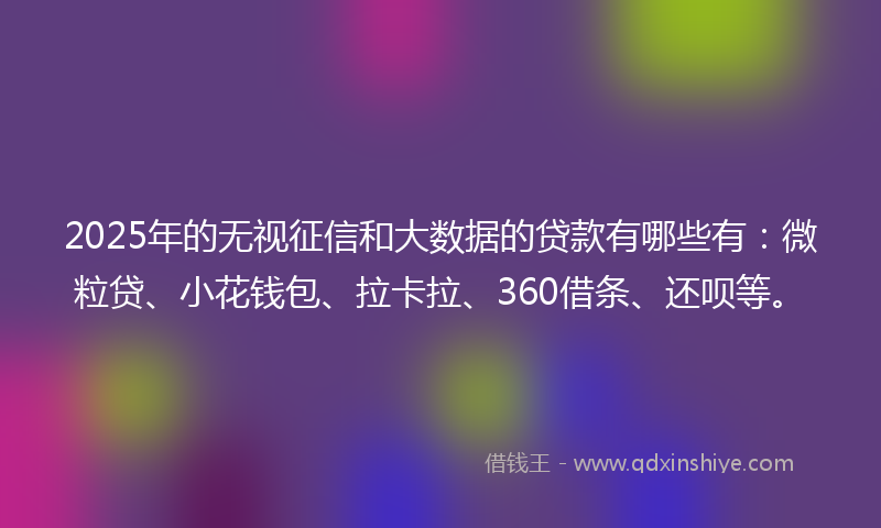 2025年的无视征信和大数据的贷款有哪些有：微粒贷、小花钱包、拉卡拉、360借条、还呗等。