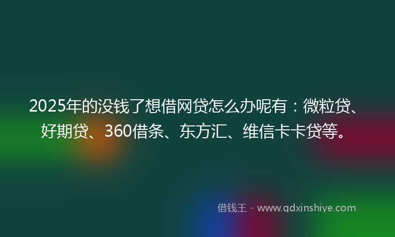 2025年的没钱了想借网贷怎么办呢有：微粒贷、好期贷、360借条、东方汇、维信卡卡贷等。