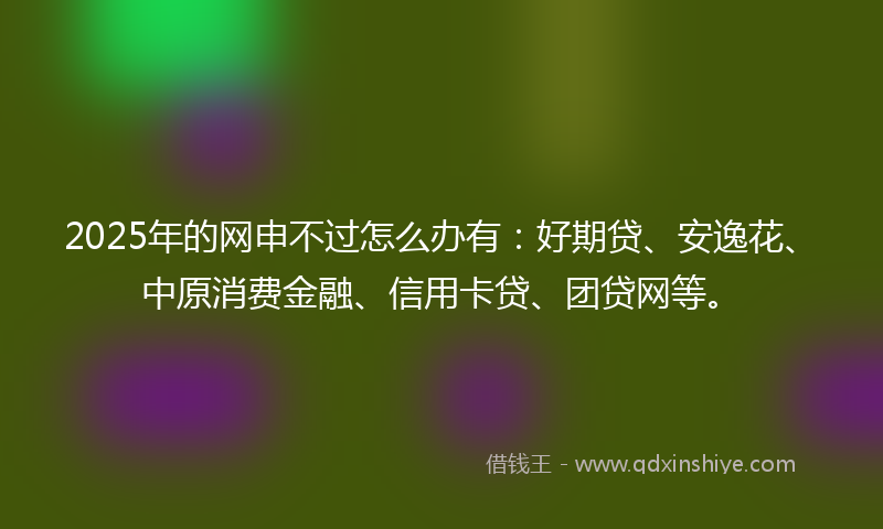 2025年的网申不过怎么办有：好期贷、安逸花、中原消费金融、信用卡贷、团贷网等。