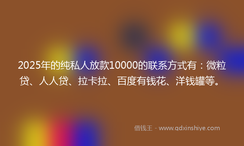 2025年的纯私人放款10000的联系方式有：微粒贷、人人贷、拉卡拉、百度有钱花、洋钱罐等。