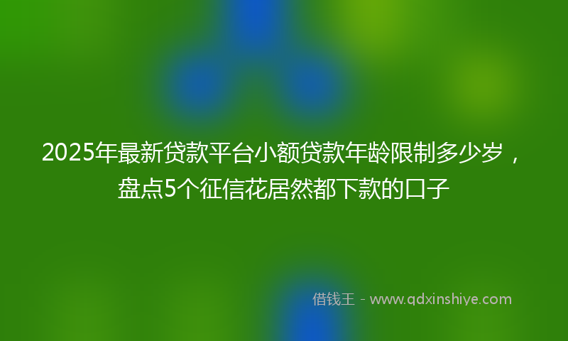 2025年最新贷款平台小额贷款年龄限制多少岁，盘点5个征信花居然都下款的口子