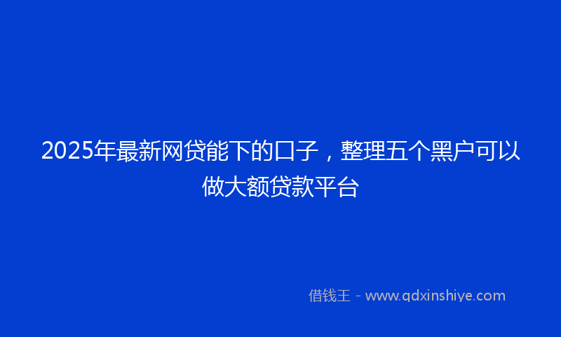 2025年最新网贷能下的口子，整理五个黑户可以做大额贷款平台