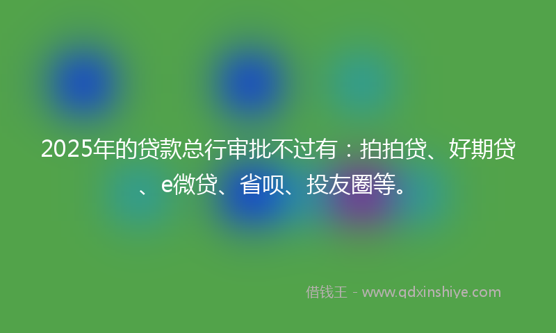 2025年的贷款总行审批不过有：拍拍贷、好期贷、e微贷、省呗、投友圈等。