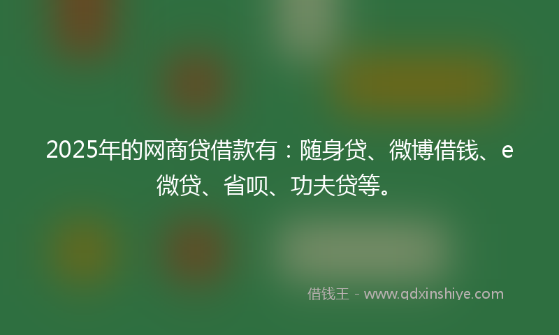 2025年的网商贷借款有：随身贷、微博借钱、e微贷、省呗、功夫贷等。