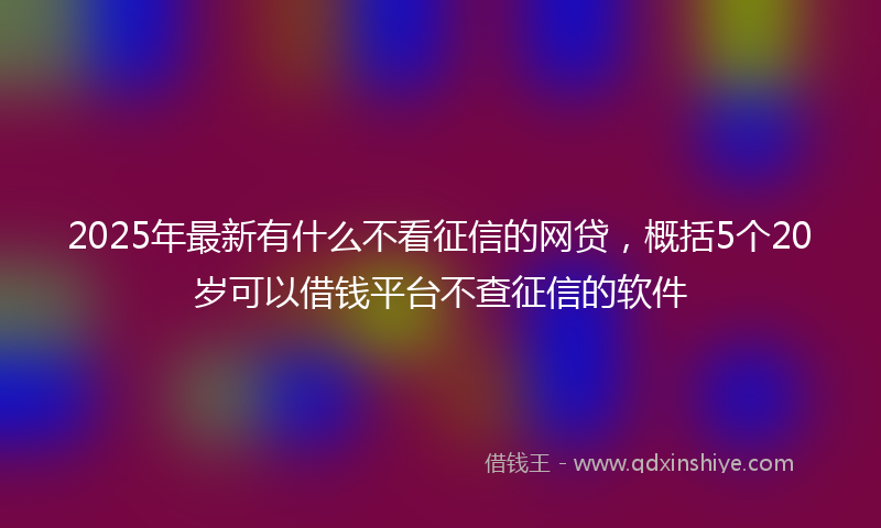 2025年最新有什么不看征信的网贷，概括5个20岁可以借钱平台不查征信的软件