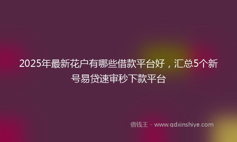 2025年最新花户有哪些借款平台好，汇总5个新号易贷速审秒下款平台