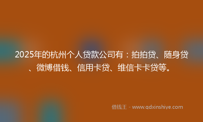 2025年的杭州个人贷款公司有：拍拍贷、随身贷、微博借钱、信用卡贷、维信卡卡贷等。
