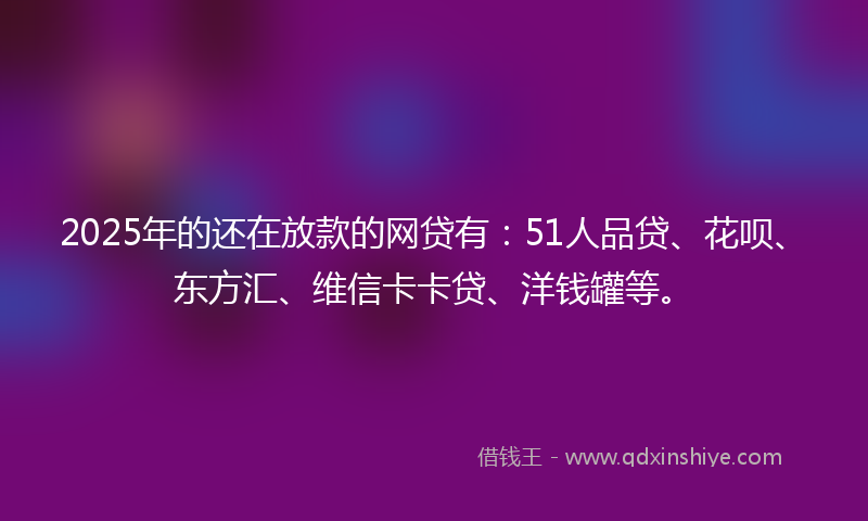 2025年的还在放款的网贷有：51人品贷、花呗、东方汇、维信卡卡贷、洋钱罐等。