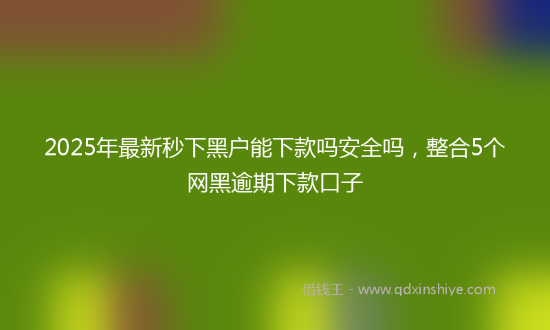 2025年最新秒下黑户能下款吗安全吗，整合5个网黑逾期下款口子