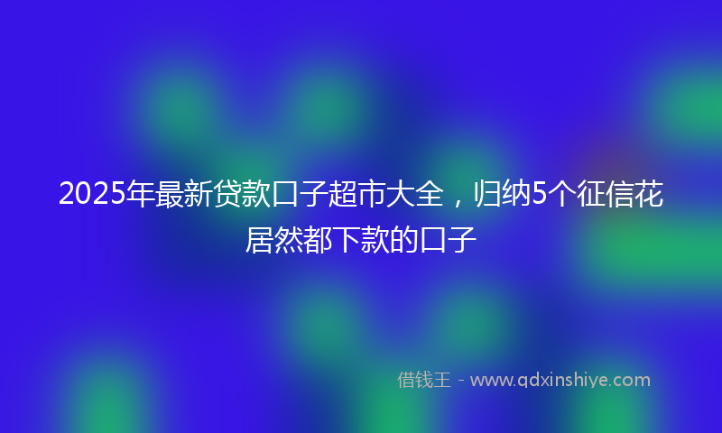2025年最新贷款口子超市大全，归纳5个征信花居然都下款的口子
