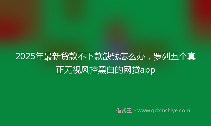2025年最新贷款不下款缺钱怎么办，罗列五个真正无视风控黑白的网贷app