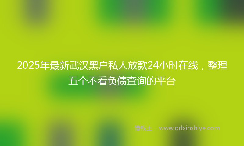 2025年最新武汉黑户私人放款24小时在线，整理五个不看负债查询的平台
