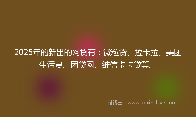 2025年的新出的网贷有：微粒贷、拉卡拉、美团生活费、团贷网、维信卡卡贷等。