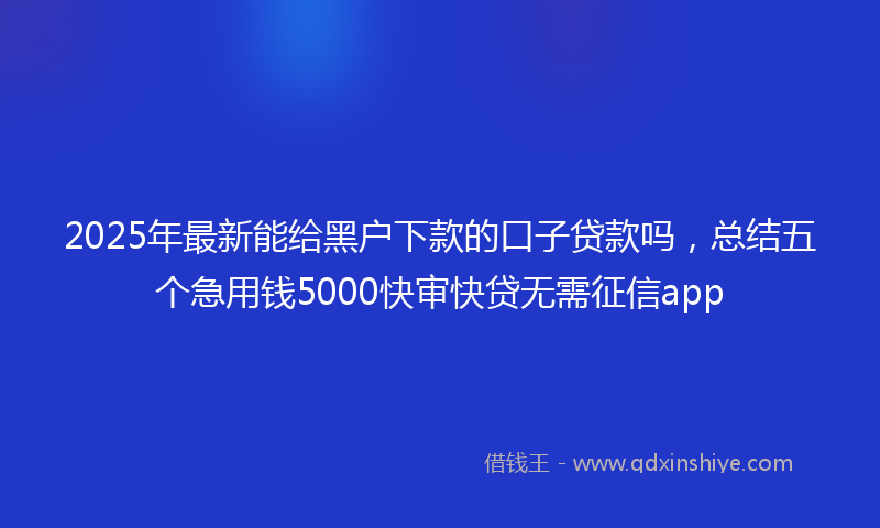 2025年最新能给黑户下款的口子贷款吗，总结五个急用钱5000快审快贷无需征信app