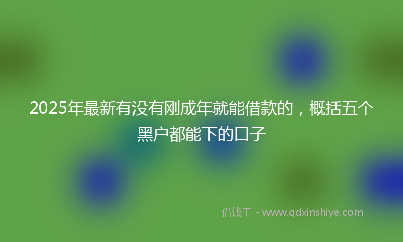 2025年最新有没有刚成年就能借款的，概括五个黑户都能下的口子