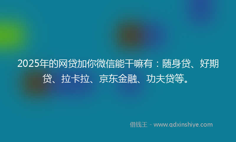 2025年的网贷加你微信能干嘛有：随身贷、好期贷、拉卡拉、京东金融、功夫贷等。