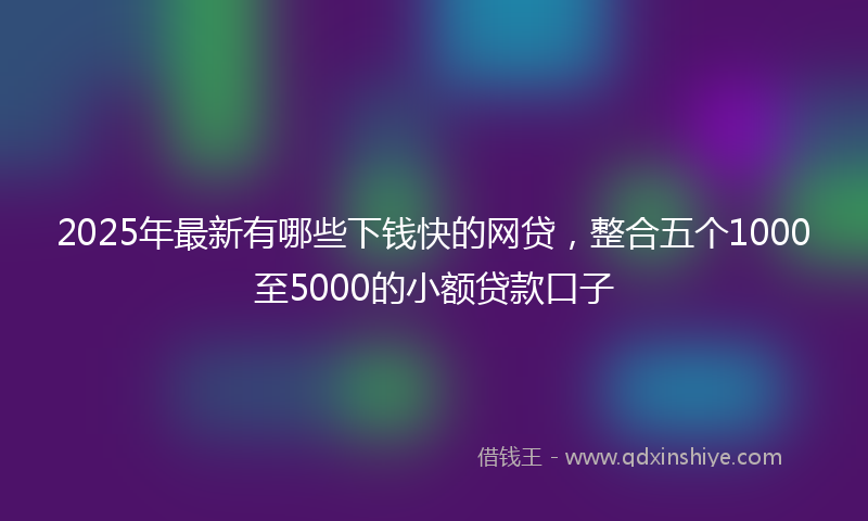 2025年最新有哪些下钱快的网贷，整合五个1000至5000的小额贷款口子