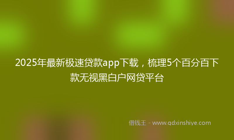 2025年最新极速贷款app下载，梳理5个百分百下款无视黑白户网贷平台