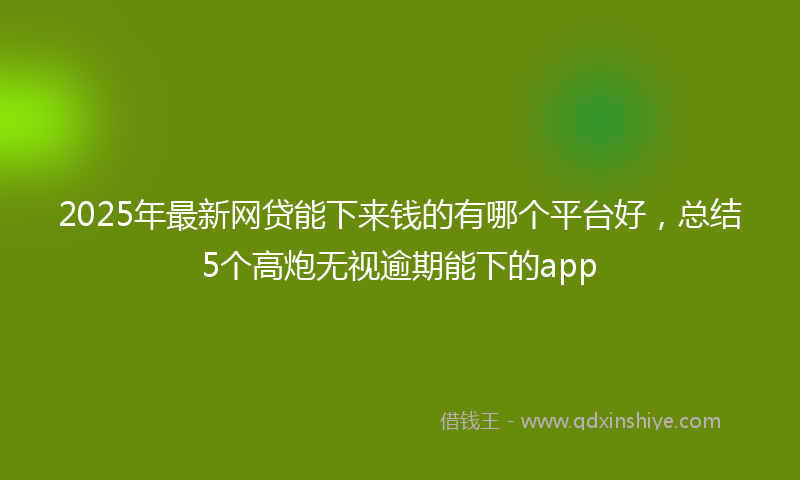 2025年最新网贷能下来钱的有哪个平台好，总结5个高炮无视逾期能下的app