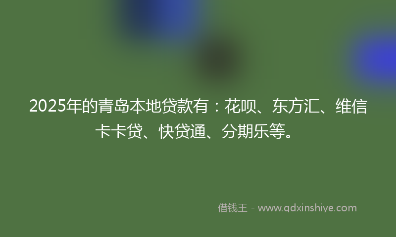 2025年的青岛本地贷款有：花呗、东方汇、维信卡卡贷、快贷通、分期乐等。