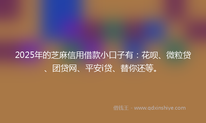 2025年的芝麻信用借款小口子有：花呗、微粒贷、团贷网、平安i贷、替你还等。