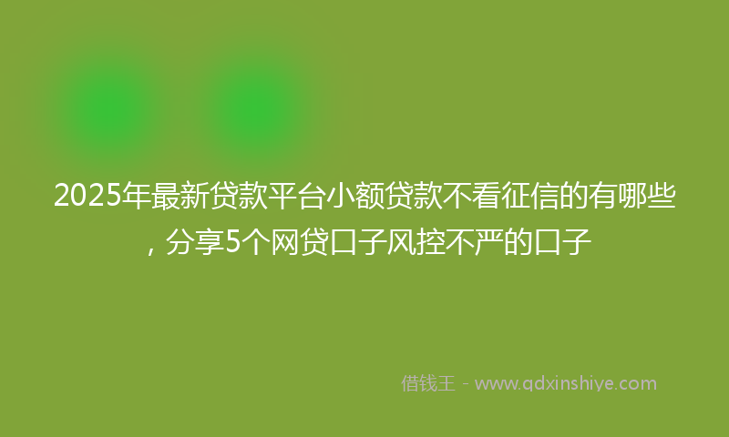 2025年最新贷款平台小额贷款不看征信的有哪些，分享5个网贷口子风控不严的口子