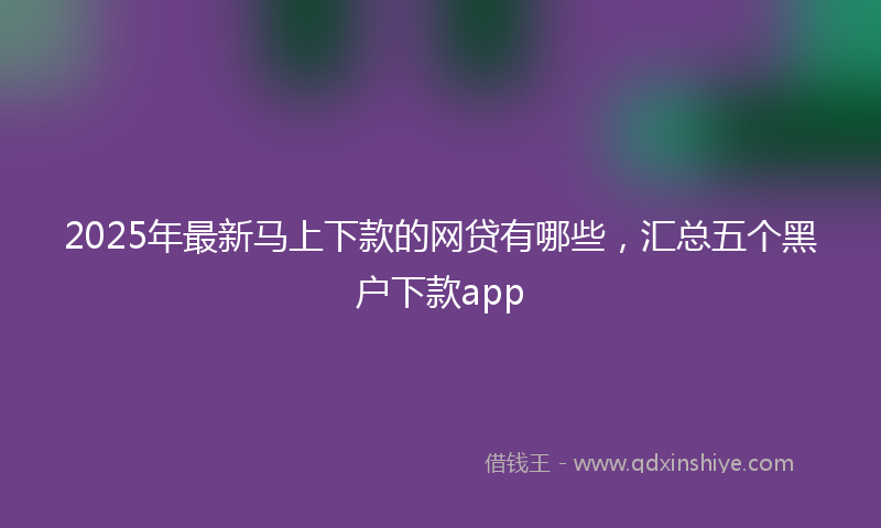 2025年最新马上下款的网贷有哪些，汇总五个黑户下款app