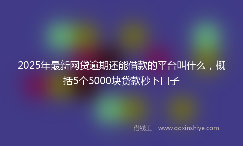 2025年最新网贷逾期还能借款的平台叫什么，概括5个5000块贷款秒下口子