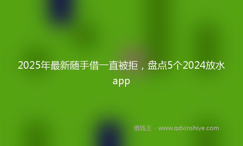 2025年最新随手借一直被拒，盘点5个2024放水app