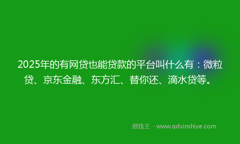 2025年的有网贷也能贷款的平台叫什么有：微粒贷、京东金融、东方汇、替你还、滴水贷等。