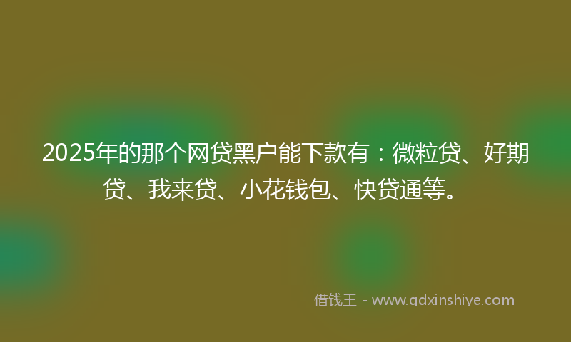 2025年的那个网贷黑户能下款有：微粒贷、好期贷、我来贷、小花钱包、快贷通等。