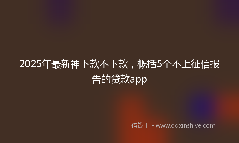 2025年最新神下款不下款，概括5个不上征信报告的贷款app
