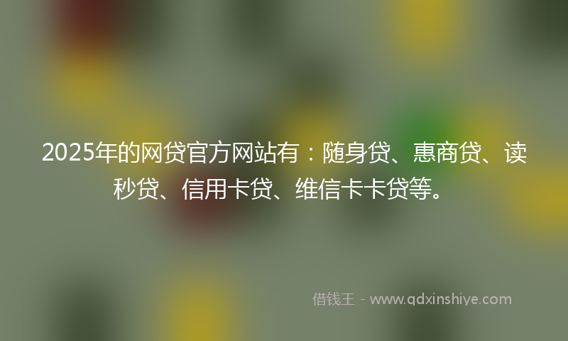 2025年的网贷官方网站有：随身贷、惠商贷、读秒贷、信用卡贷、维信卡卡贷等。