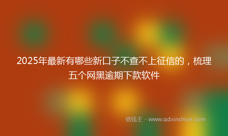 2025年最新有哪些新口子不查不上征信的，梳理五个网黑逾期下款软件
