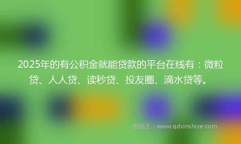 2025年的有公积金就能贷款的平台在线有：微粒贷、人人贷、读秒贷、投友圈、滴水贷等。