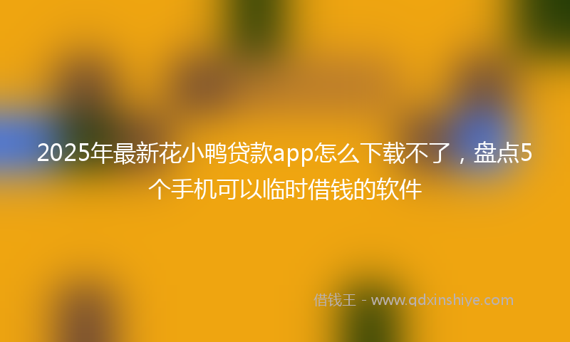 2025年最新花小鸭贷款app怎么下载不了，盘点5个手机可以临时借钱的软件