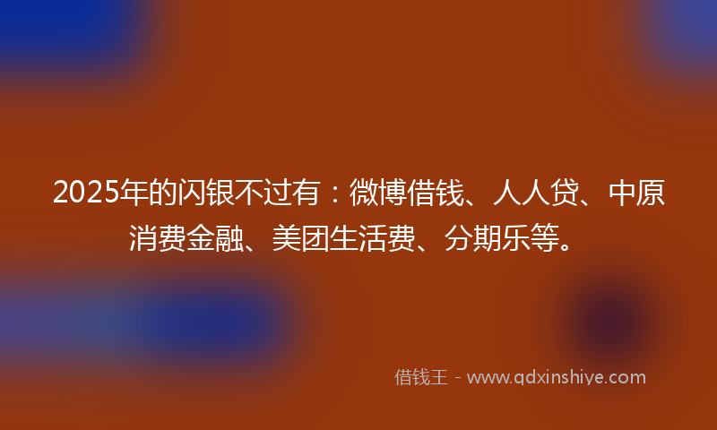 2025年的闪银不过有：微博借钱、人人贷、中原消费金融、美团生活费、分期乐等。