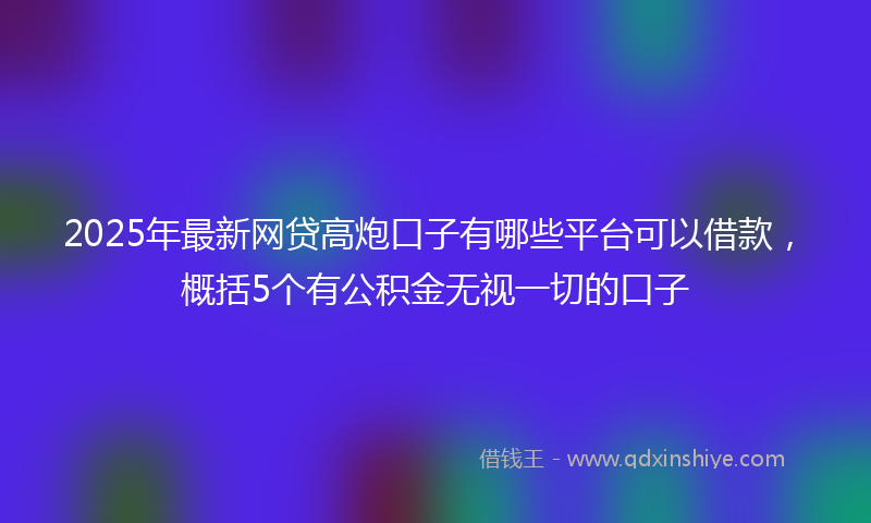 2025年最新网贷高炮口子有哪些平台可以借款，概括5个有公积金无视一切的口子