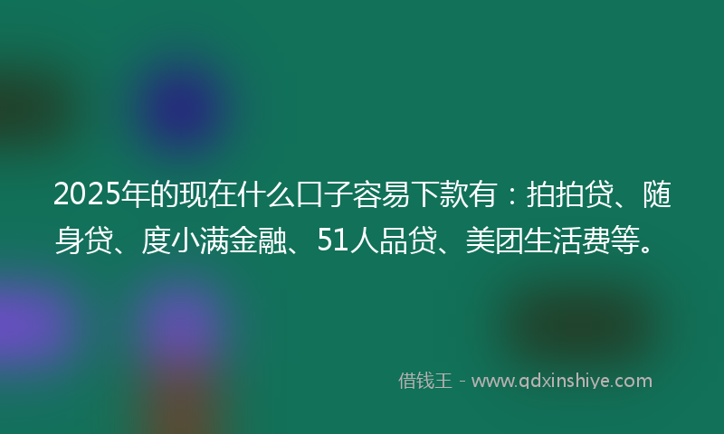 2025年的现在什么口子容易下款有：拍拍贷、随身贷、度小满金融、51人品贷、美团生活费等。