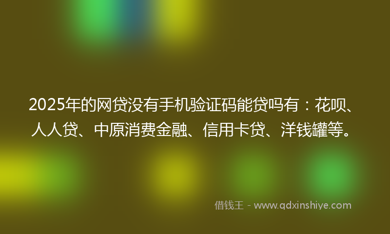 2025年的网贷没有手机验证码能贷吗有：花呗、人人贷、中原消费金融、信用卡贷、洋钱罐等。