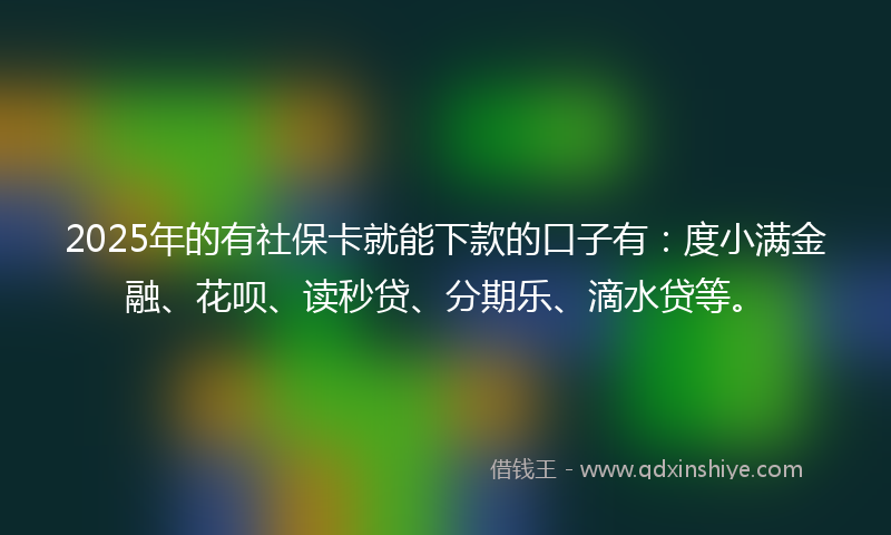 2025年的有社保卡就能下款的口子有：度小满金融、花呗、读秒贷、分期乐、滴水贷等。
