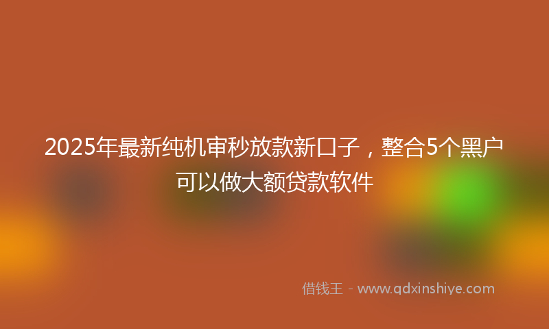 2025年最新纯机审秒放款新口子，整合5个黑户可以做大额贷款软件